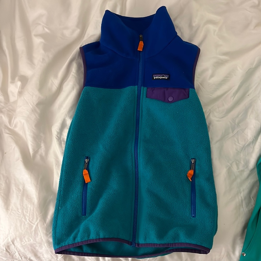 Patagonia Synchilla Vest